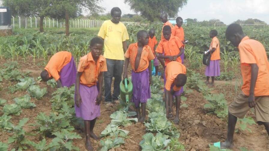 Lors de la culture de légumes au Soudan du Sud, tous les écoliers mettent la main à la pâte.