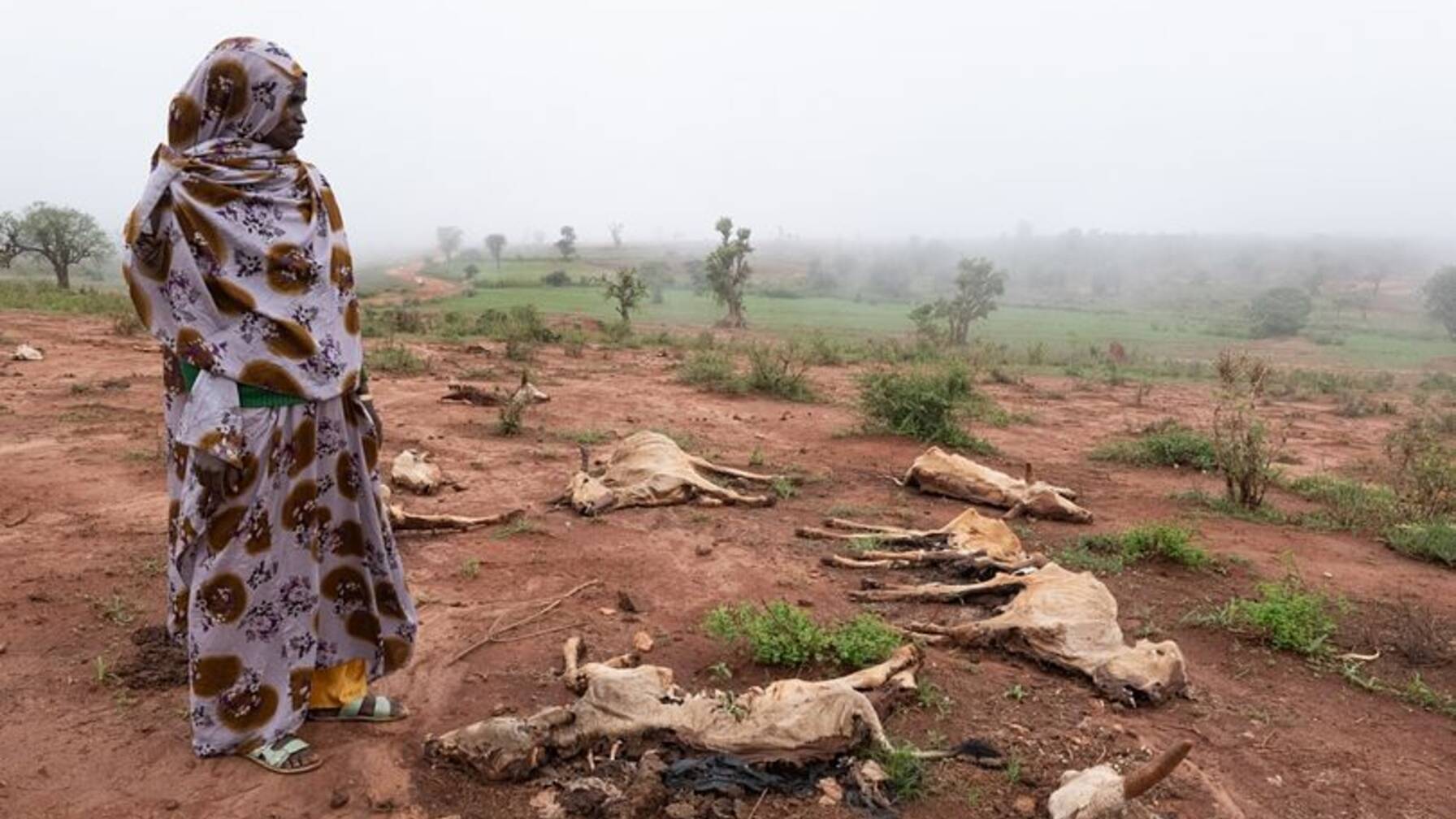 Ensane Aga from the neighbouring village also lost all her cows.