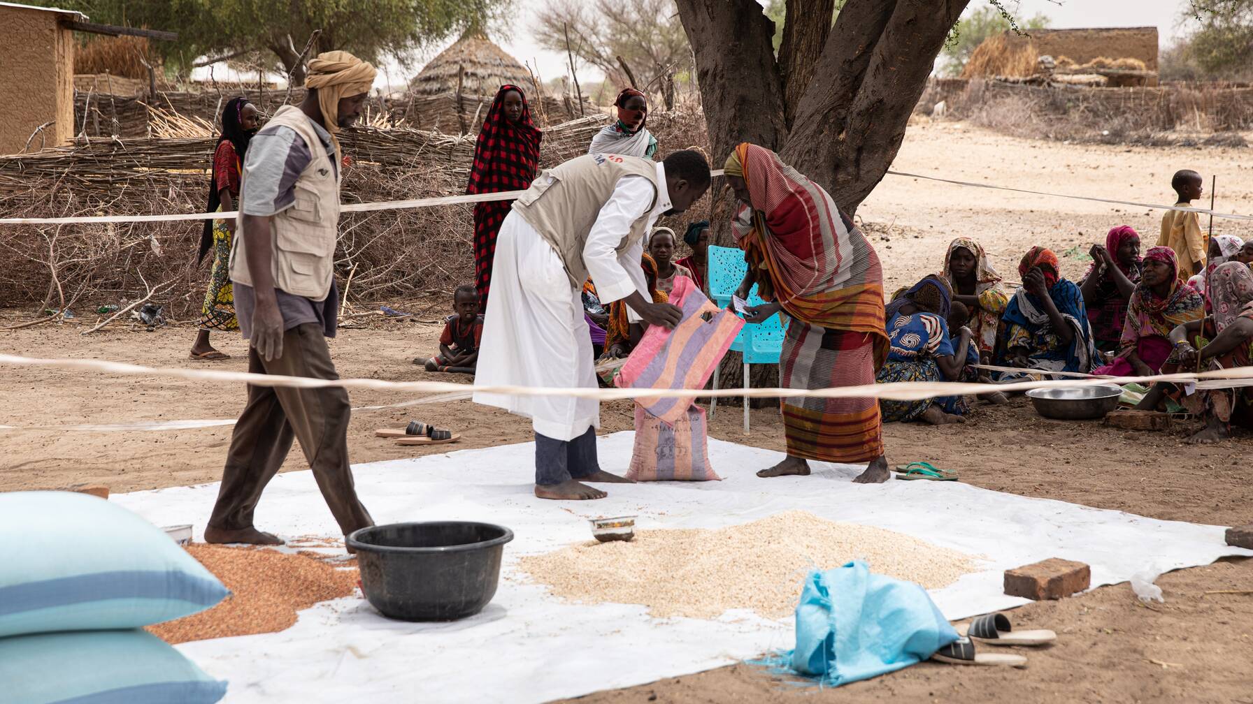 Families are provided with grain and drought-resistant seeds.