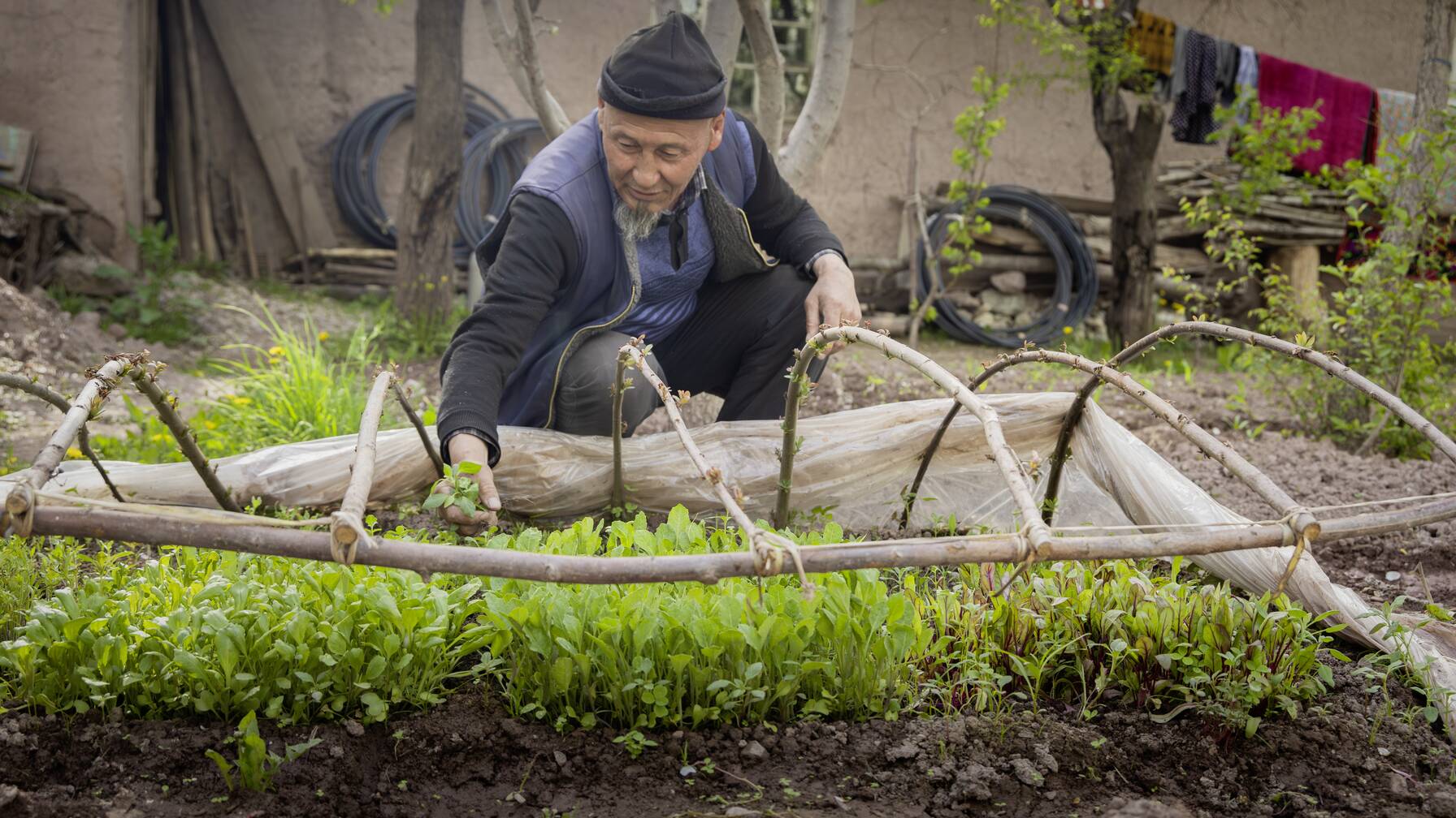 A casa Shokirjon Shamirov cura il suo orto. Grazie a Caritas ora dispone di più conoscenze e può coltivare una grande varietà di ortaggi, erbe aromatiche e frutti.