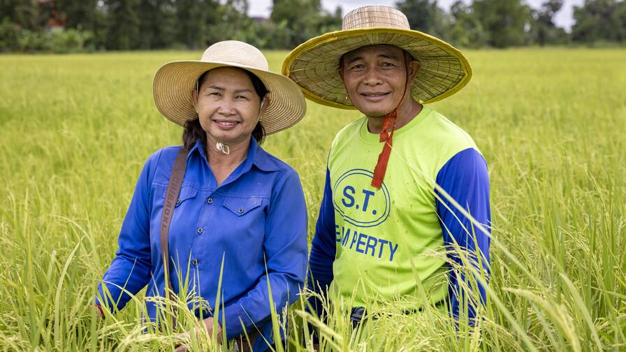 Da quando le contadine e i contadini hanno migliorato il sistema di irrigazione insieme a Caritas, la famiglia Phon riesce a realizzare due raccolti di riso all’anno anziché solo uno.