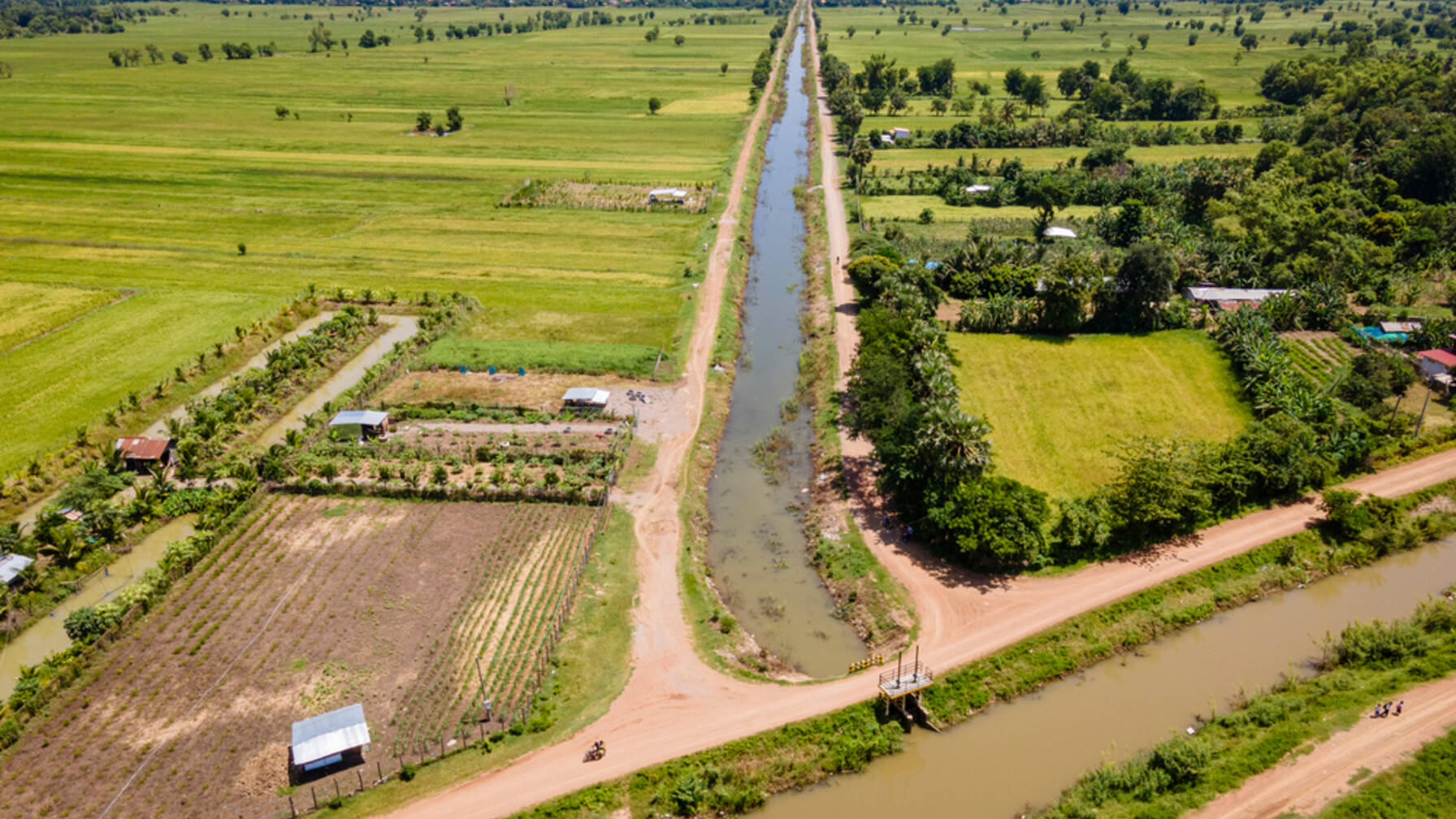 Il canale principale fornisce acqua ai canali secondari e a quelli più piccoli, in modo che tutti abbiano acqua a sufficienza per i loro campi.