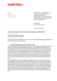 Vernehmlassung zur Internationalen Zusammenarbeit 2021-2024