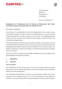 Stellungnahme zur Vernehmlassung über die Änderung des Bundesgesetztes über Schuldbetreibung und Konkurs (Sanierungsverfahren für natürliche Personen) 