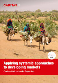 Themenpapier «Applying systemic approaches to developing markets» (Englisch)