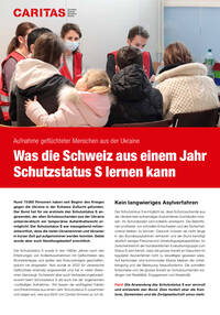 Factsheet «Was die Schweiz aus einem Jahr Schutzstatus S lernen kann»