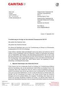 Consultation sur la Stratégie de coopération internationale 2025-28 (allemand)