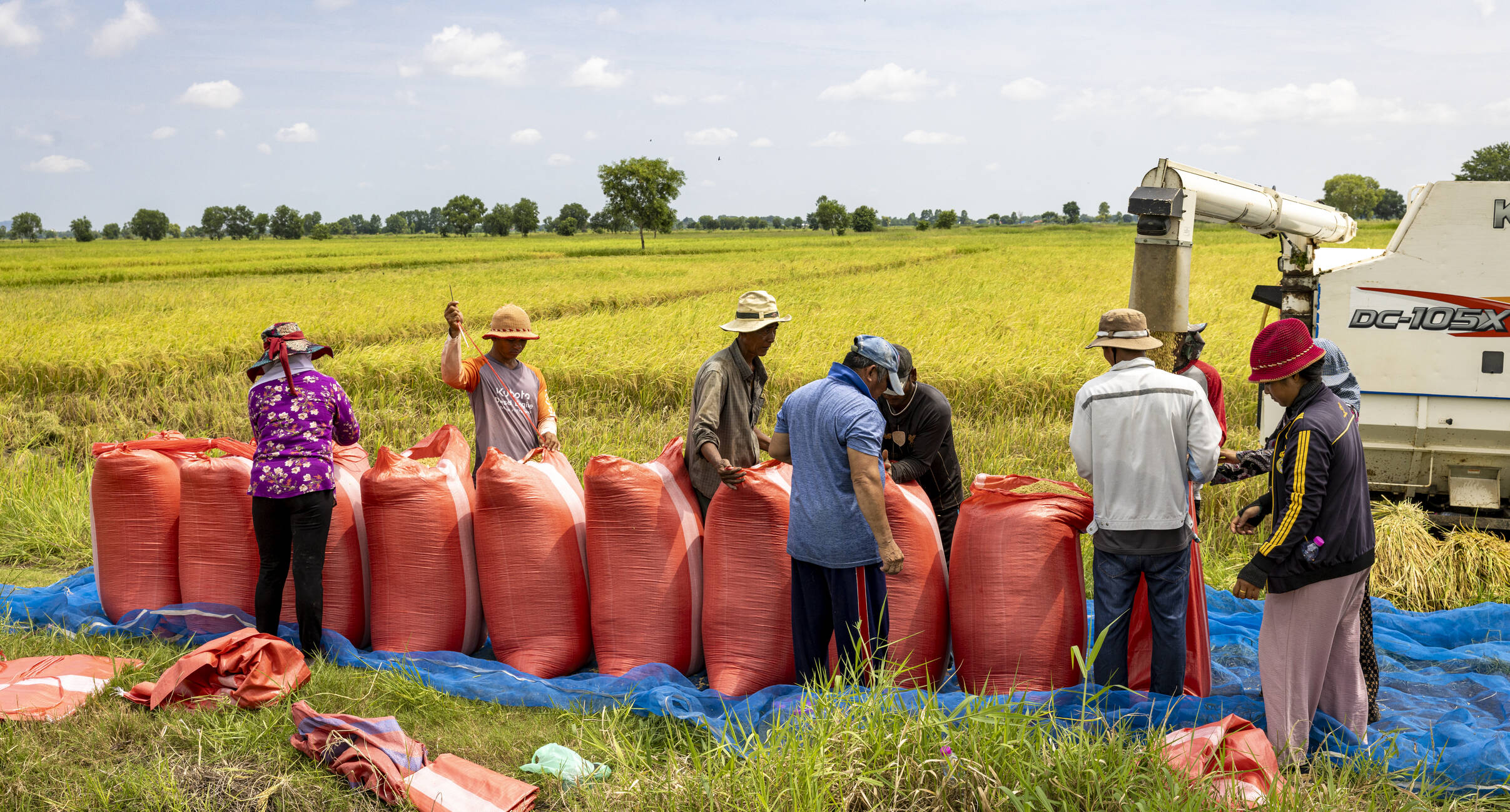nurture-nurturing-climate-resilience-in-cambodia-caritas-switzerland