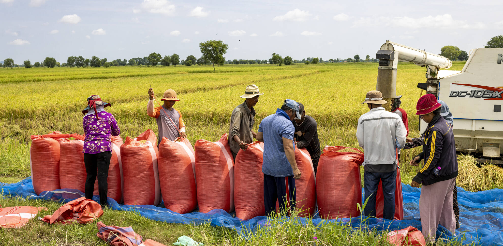 Nurture Nurturing Climate Resilience In Cambodia Caritas Switzerland nurture-nurturing-climate-resilience-in-cambodia-caritas-switzerland