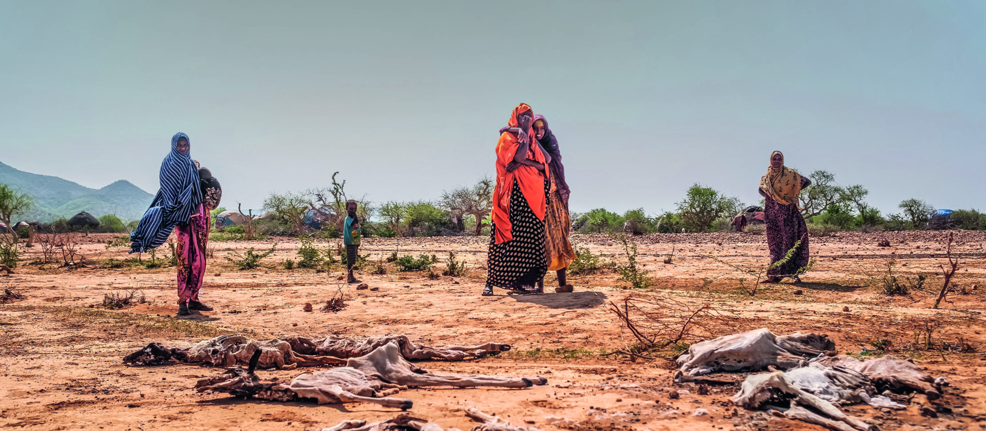 La pire sécheresse depuis plus de 40 ans résulte du réchauffement climatique qui frappe de plein fouet les plus pauvres.
