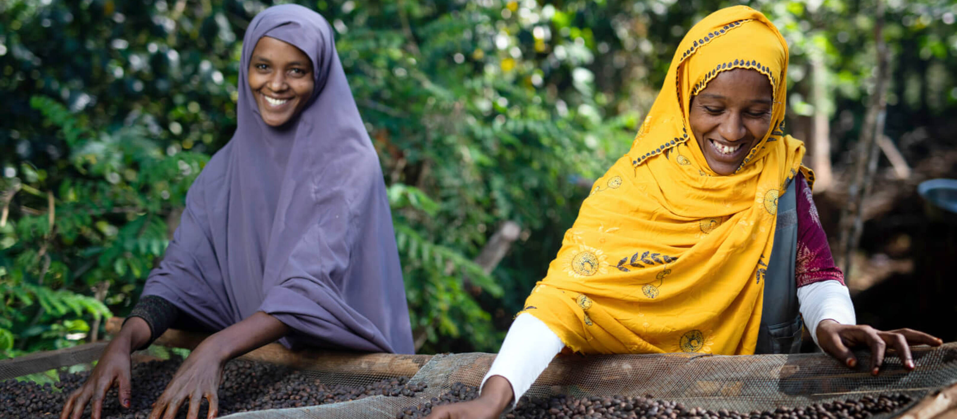 Members of the coffee cooperative dry coffee beans on drying beds.