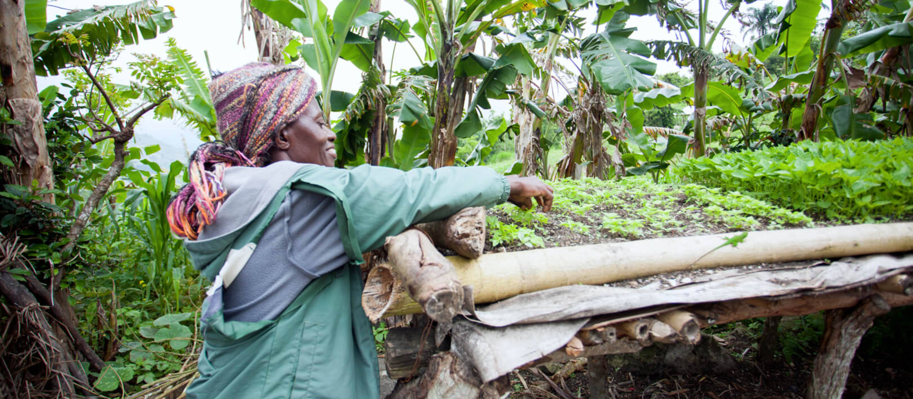 A woman in Haiti tends her garden in order to ensure the sustainable feeding of her family