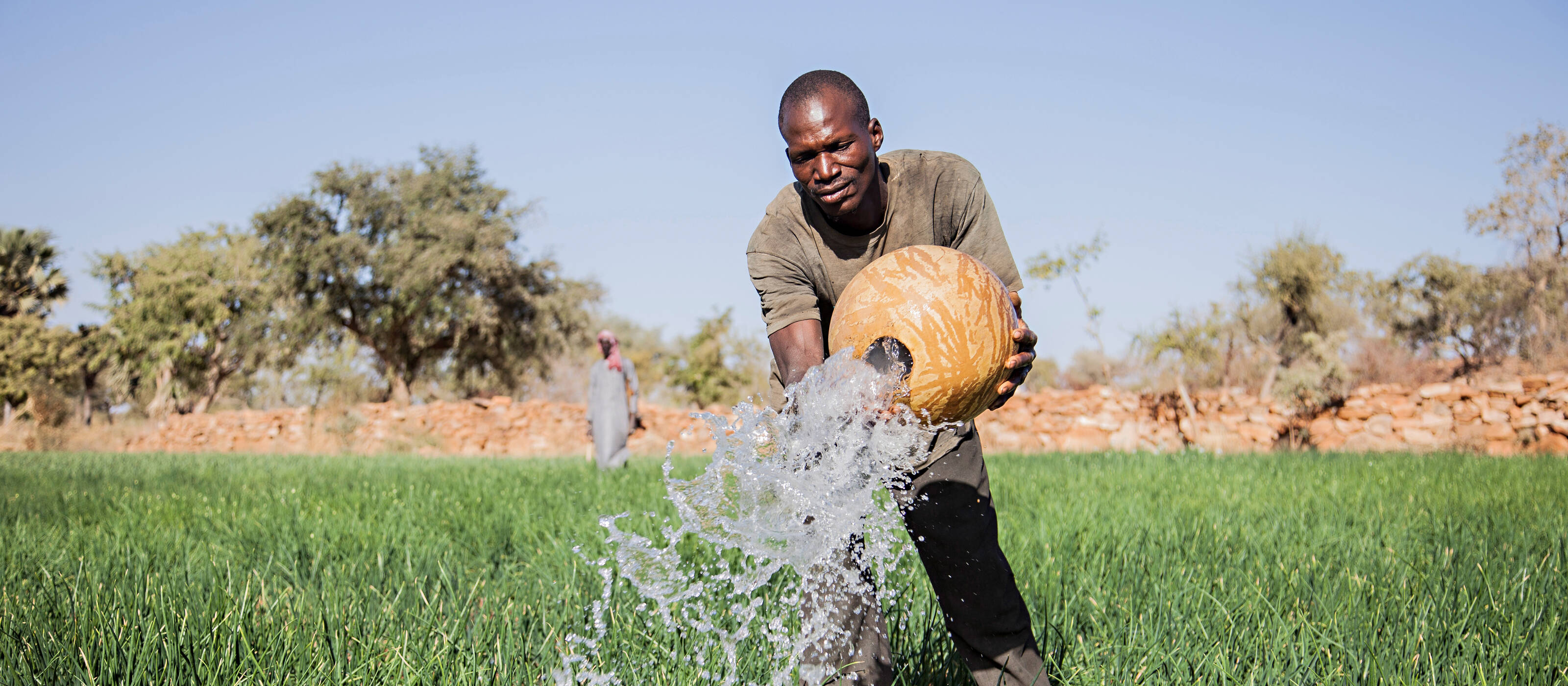 Mamadou Tapily, au Mali, irrigue son champ