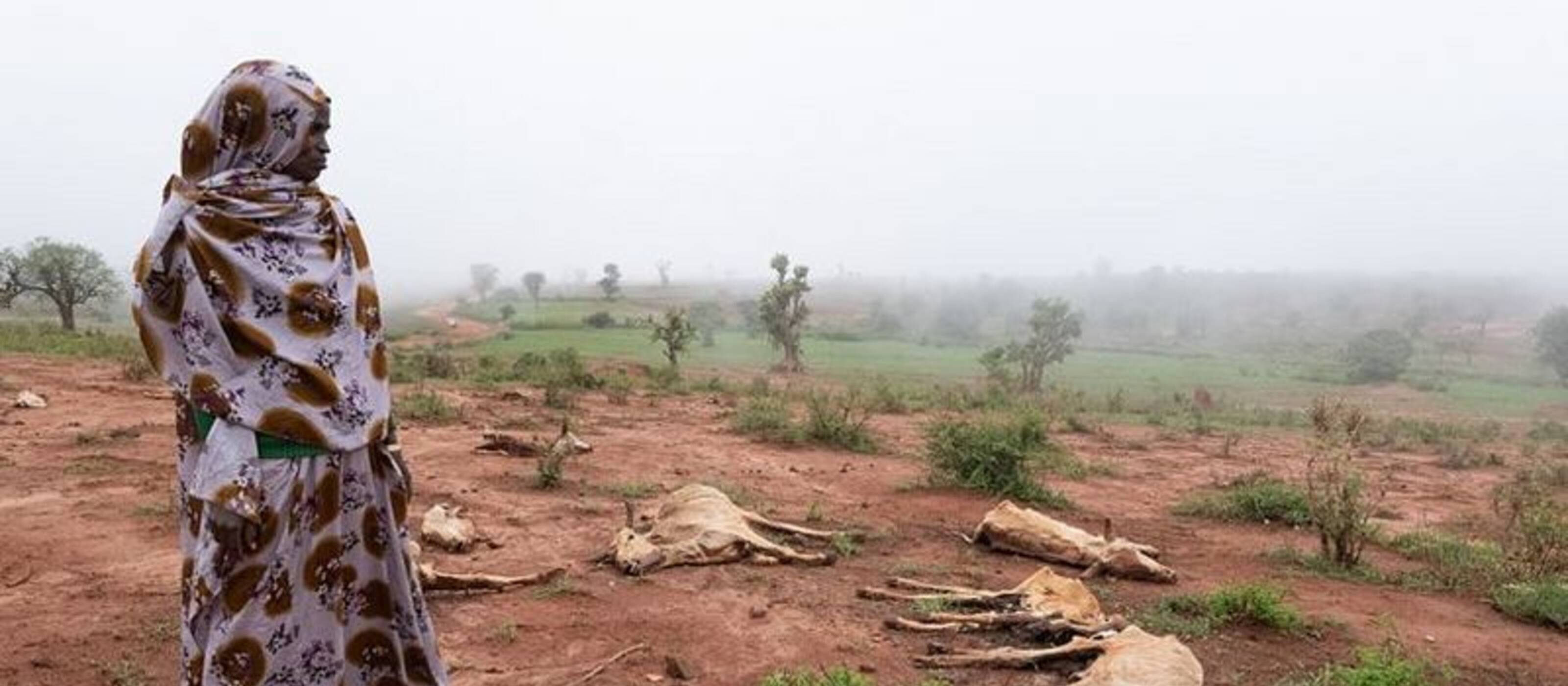 Cette paysanne a perdu toutes ses vaches à cause de la sécheresse. Éthiopie, 2022