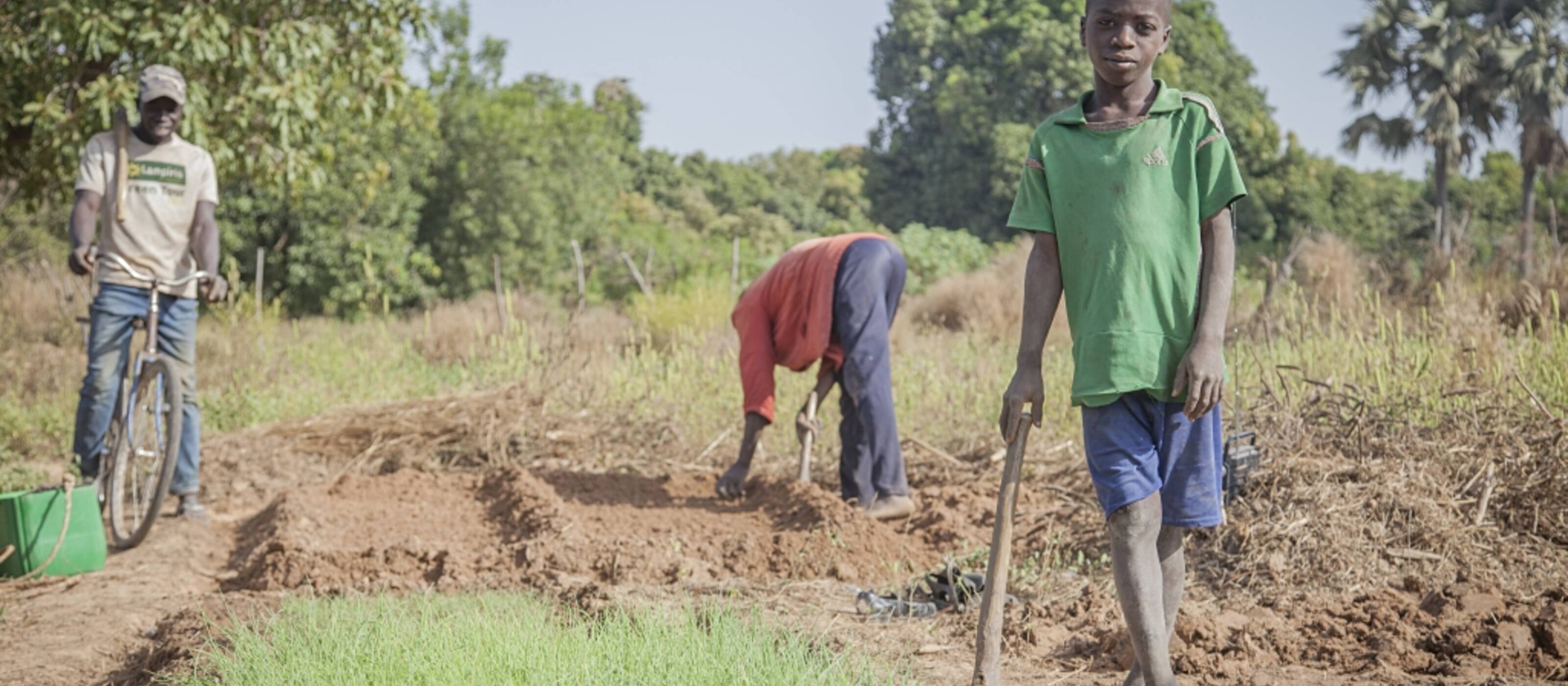 Food security despite climate change  - ecological farming in Uganda