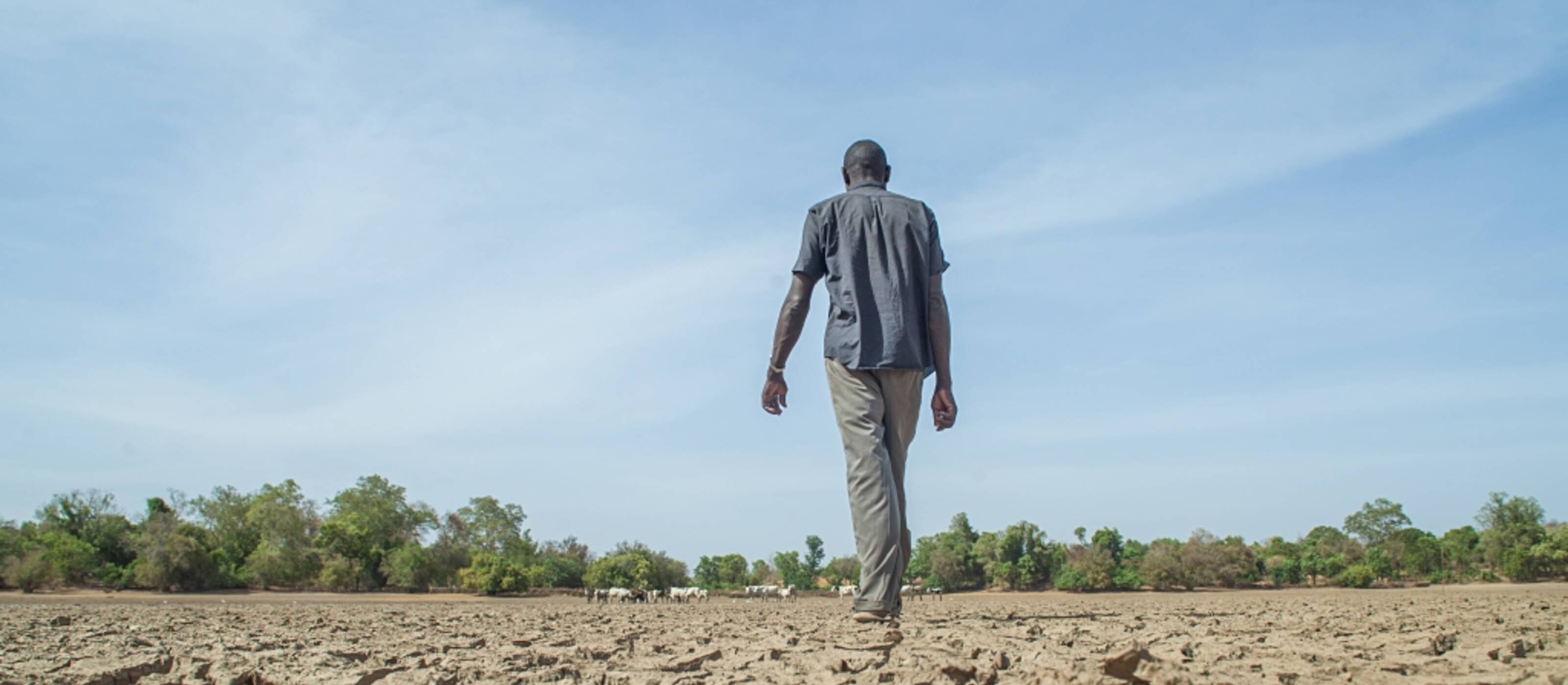 Un lac asséché au Mali, où Caritas Suisse est active avec un projet de protection du climat. 