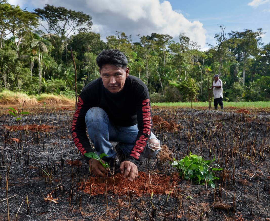 Javier, ein Bauer in Bolivien, pflanzt Kaffee.