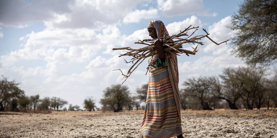 Mehr als 35 Millionen Menschen sind in der Sahelzone und am Horn von Afrika von Hunger bedroht.
